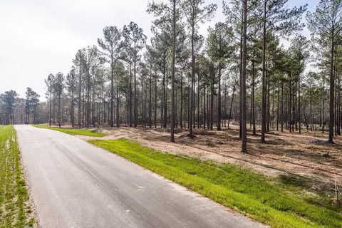 128 Beagle Chase Dr, Appling, GA 30802 photo 5