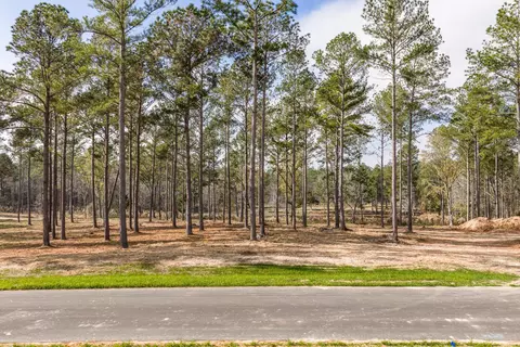 128 Beagle Chase Dr, Appling, GA 30802 photo 3