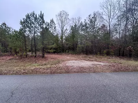 1956 Pineywoods Rd, Lincolnton, GA 30817