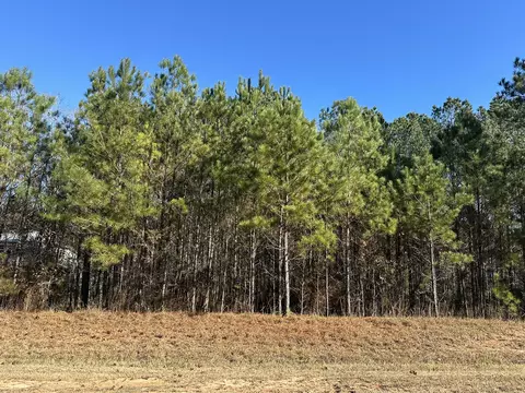 lot62 Wisteria Dr, Lincolnton, GA 30817