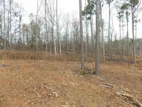 3 E Mosley Rd, Lincolnton, GA 30817
