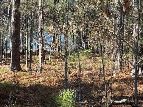 4-14 Old Ferry Rd, Mccormick, SC 29835 photo 3