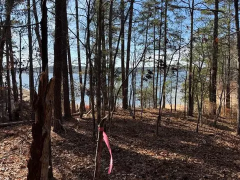 4-14 Old Ferry Rd, Mccormick, SC 29835 photo 8