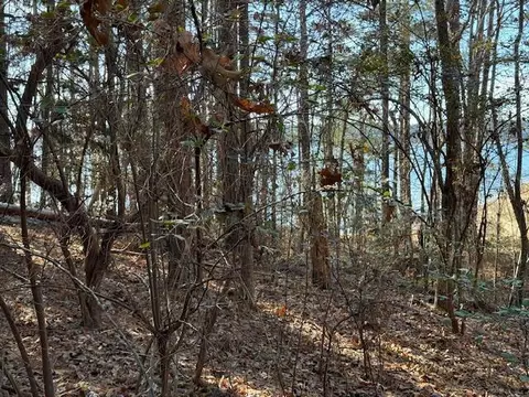 4-14 Old Ferry Rd, Mccormick, SC 29835 photo 7