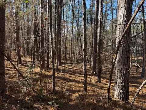 4-14 Old Ferry Rd, Mccormick, SC 29835 photo 5