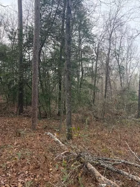 2005 Mcdade Farm Rd, Hephzibah, GA 30815