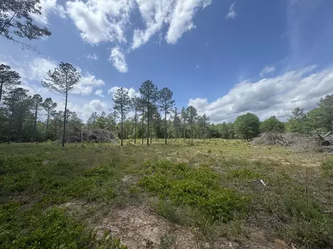 745 Wright Allen Rd, Blythe, GA 30805 photo 16