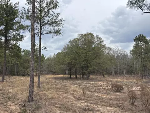 745 Wright Allen Rd, Blythe, GA 30805 photo 4