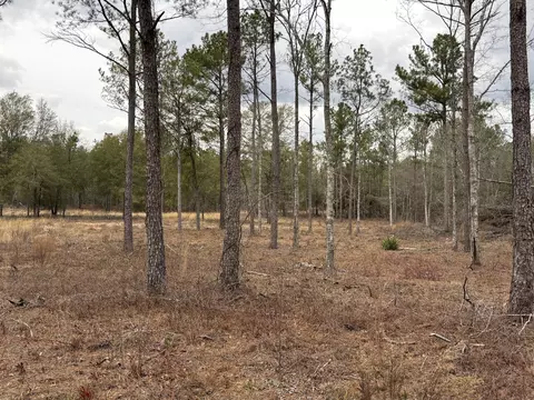 745 Wright Allen Rd, Blythe, GA 30805 photo 5