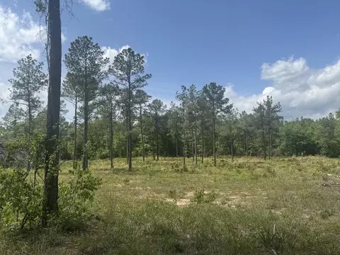 745 Wright Allen Rd, Blythe, GA 30805 photo 6