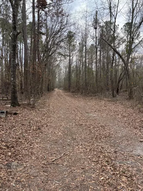745 Wright Allen Rd, Blythe, GA 30805 photo 3