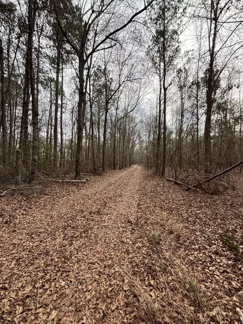 745 Wright Allen Rd, Blythe, GA 30805