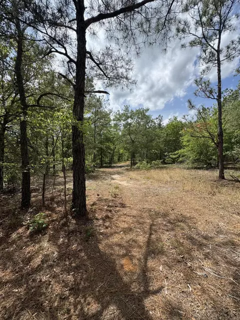 745 Wright Allen Rd, Blythe, GA 30805 photo 15
