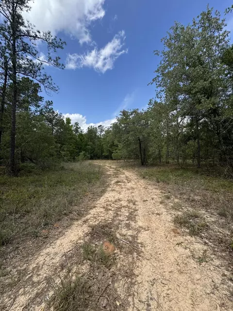745 Wright Allen Rd, Blythe, GA 30805 photo 14