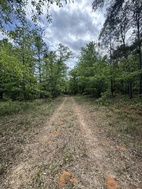 745 Wright Allen Rd, Blythe, GA 30805 photo 11