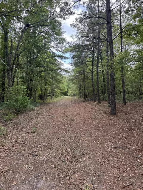 745 Wright Allen Rd, Blythe, GA 30805 photo 13