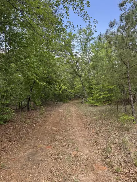 745 Wright Allen Rd, Blythe, GA 30805 photo 7