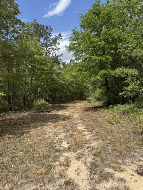 745 Wright Allen Rd, Blythe, GA 30805 photo 12
