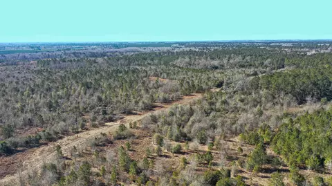 000 Hwy 78, Williston, SC 29853 photo 7