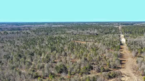 000 Hwy 78, Williston, SC 29853 photo 11