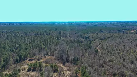 000 Hwy 78, Williston, SC 29853 photo 10