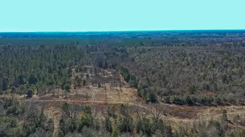 000 Hwy 78, Williston, SC 29853 photo 6