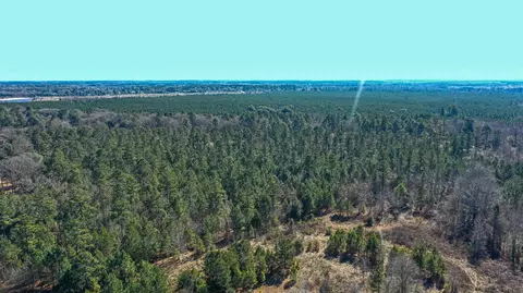 000 Hwy 78, Williston, SC 29853 photo 9