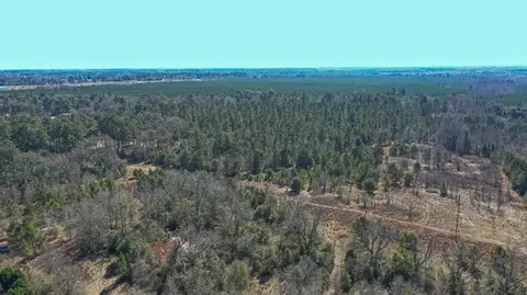 000 Hwy 78, Williston, SC 29853 photo 5