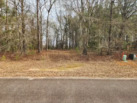 0 Cason Creek Subd, Louisville, GA 30434