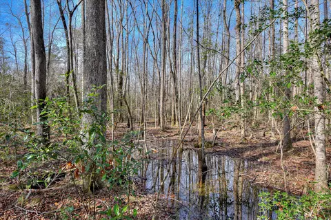 2 Day Road, Aiken, SC 29801 photo 13