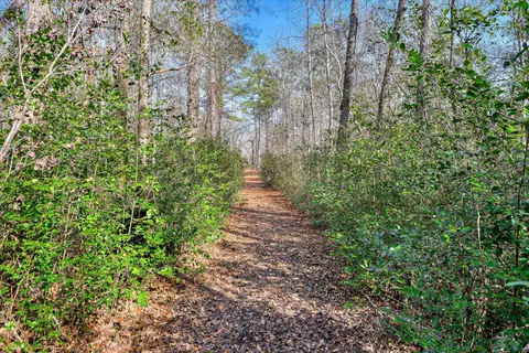 2 Day Road, Aiken, SC 29801 photo 11