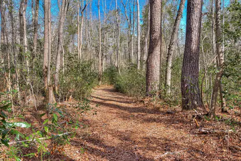 2 Day Road, Aiken, SC 29801 photo 12