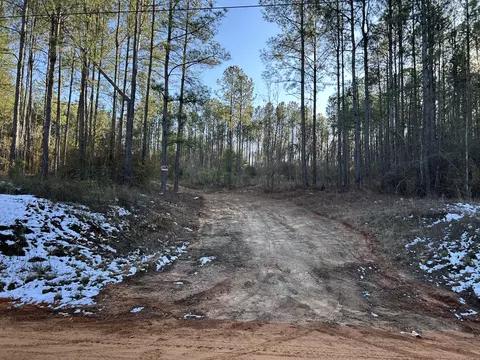 3229 Keysville-boggs Academy Rd, Keysville, GA 30816