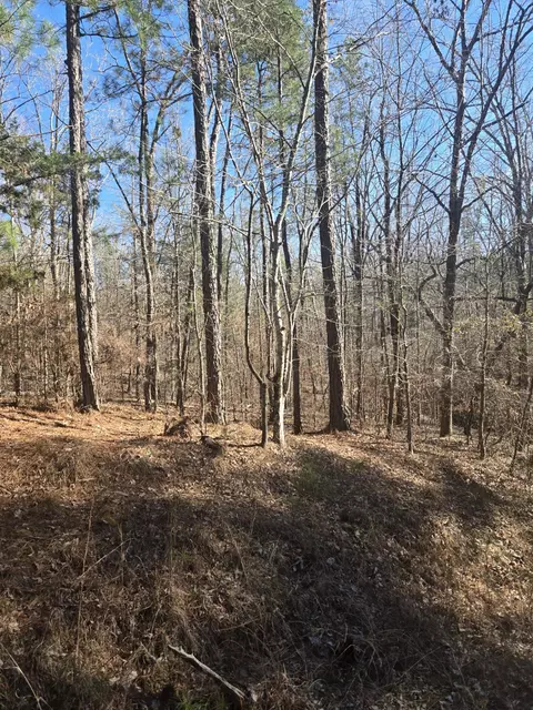 0 Bay Shore Dr, Lincolnton, GA 30817