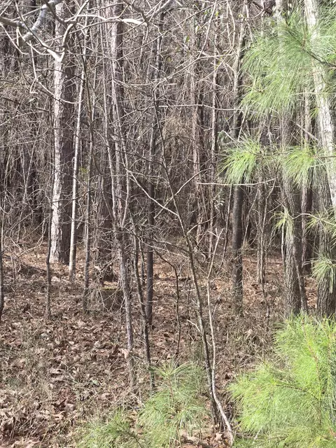 0 Ga-220, Lincolnton, GA 30817