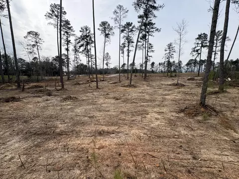 5672 White Oak Rd, Appling, GA 30802 photo 6