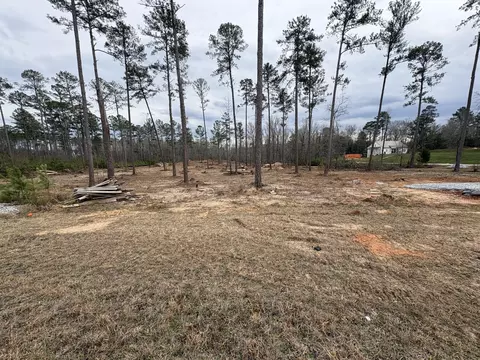 5672 White Oak Rd, Appling, GA 30802 photo 3