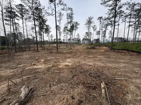5672 White Oak Rd, Appling, GA 30802 photo 8