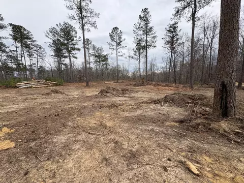 5672 White Oak Rd, Appling, GA 30802 photo 5