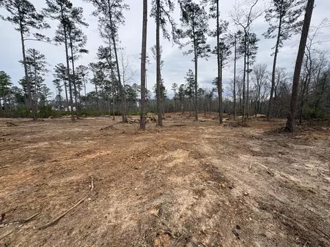 5672 White Oak Rd, Appling, GA 30802 photo 4