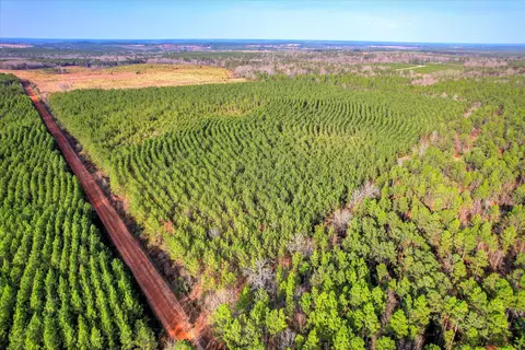 0 Old Thomson Rd, Wrens, GA 30833 photo 4