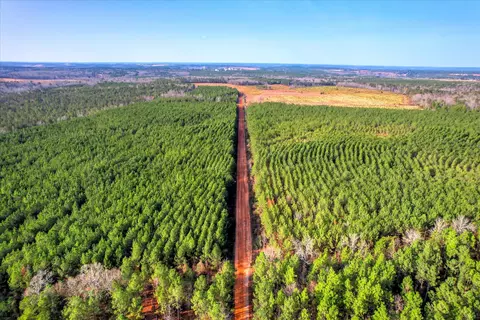 0 Old Thomson Rd, Wrens, GA 30833 photo 2
