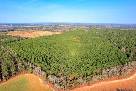 0 Old Thomson Rd, Wrens, GA 30833 photo 13