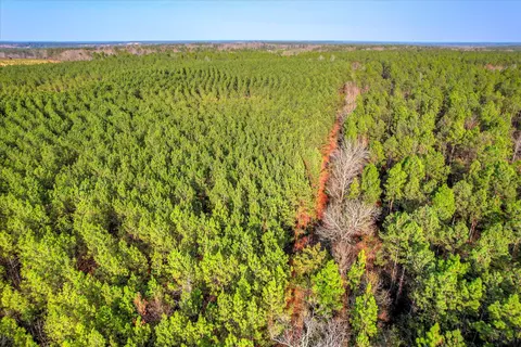 0 Old Thomson Rd, Wrens, GA 30833 photo 15