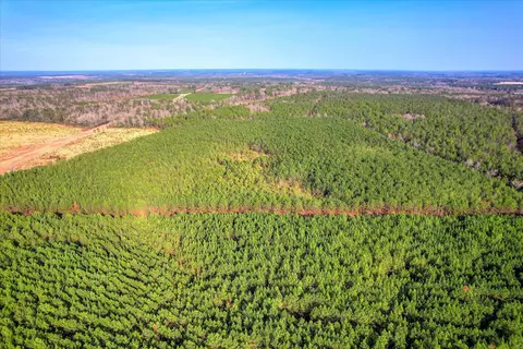 0 Old Thomson Rd, Wrens, GA 30833 photo 5