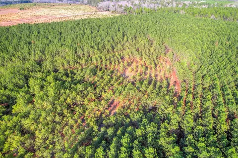 0 Old Thomson Rd, Wrens, GA 30833 photo 11