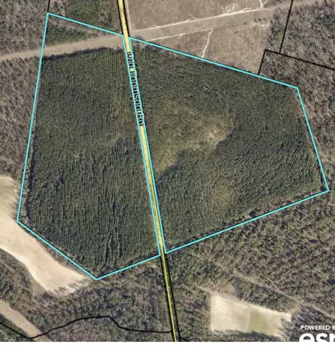 0 Old Thomson Rd, Wrens, GA 30833 photo 17