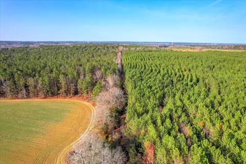 0 Old Thomson Rd, Wrens, GA 30833 photo 12