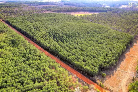 0 Old Thomson Rd, Wrens, GA 30833 photo 10