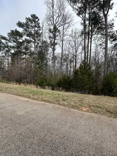 5 47ac Nathania Farm Rd, Lincolnton, GA 30817